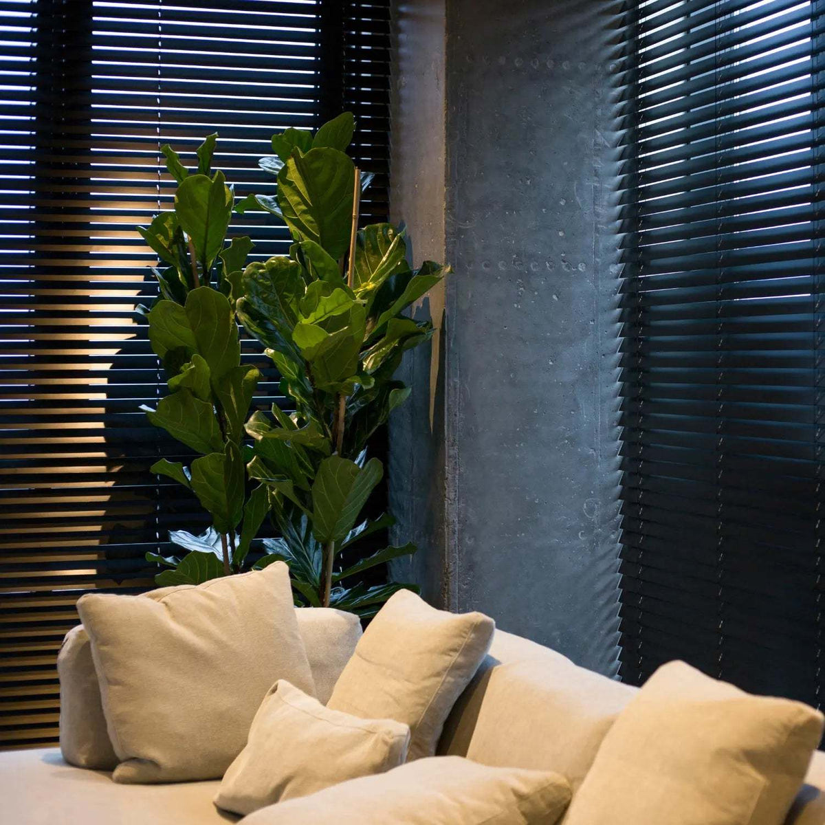 Modern living room with beige sofa and dark horizontal blinds on windows highlighting blinds vs. shades comparison