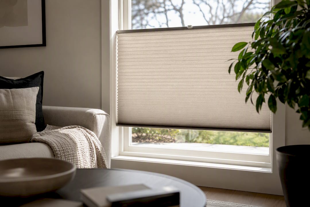 Window with top-down bottom-up shade raised at bottom