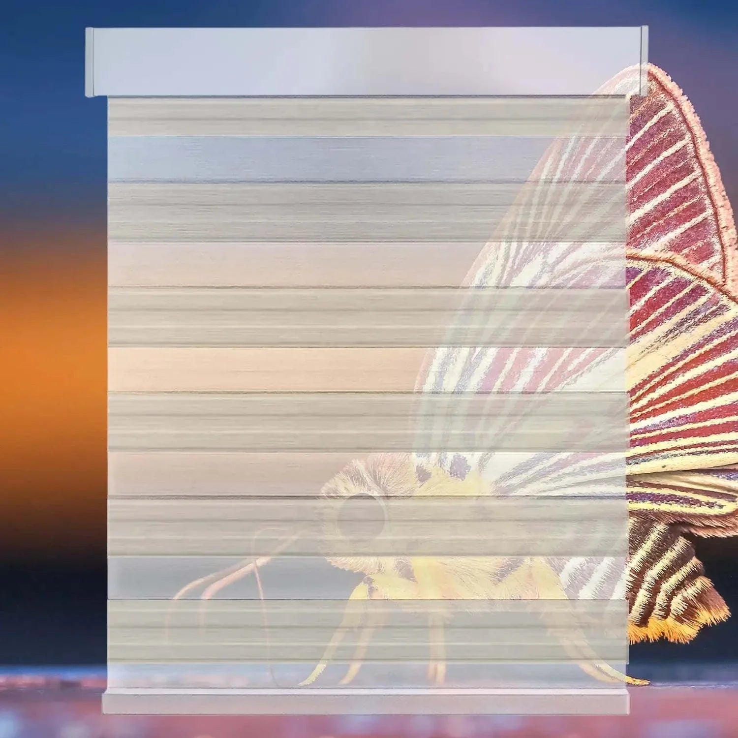 Value Blinds™ Elegant and Premium Zebra Shades with motorization and smart control, showcasing sheer and opaque bands for light filtering and style.